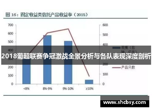 2018葡超联赛争冠激战全景分析与各队表现深度剖析 2018葡超联赛争冠激战全景分析与各队表现深度剖析