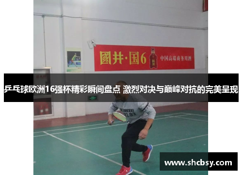 乒乓球欧洲16强杯精彩瞬间盘点 激烈对决与巅峰对抗的完美呈现