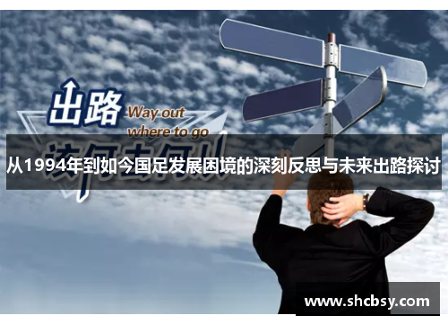 从1994年到如今国足发展困境的深刻反思与未来出路探讨