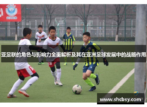 亚足联的角色与影响力全面解析及其在亚洲足球发展中的战略作用