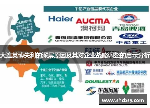 大连英博失利的深层原因及其对企业战略调整的启示分析 大连英博失利的深层原因及其对企业战略调整的启示分析