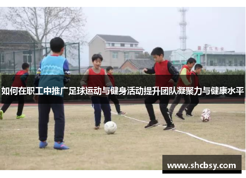 如何在职工中推广足球运动与健身活动提升团队凝聚力与健康水平