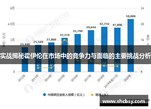 实战揭秘霍伊伦在市场中的竞争力与面临的主要挑战分析 实战揭秘霍伊伦在市场中的竞争力与面临的主要挑战分析