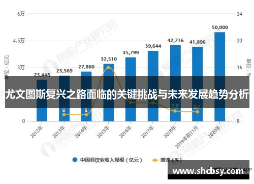 尤文图斯复兴之路面临的关键挑战与未来发展趋势分析