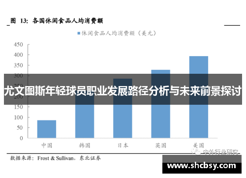 尤文图斯年轻球员职业发展路径分析与未来前景探讨 尤文图斯年轻球员职业发展路径分析与未来前景探讨