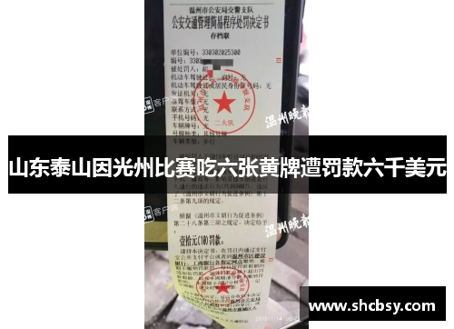 山东泰山因光州比赛吃六张黄牌遭罚款六千美元 山东泰山因光州比赛吃六张黄牌遭罚款六千美元